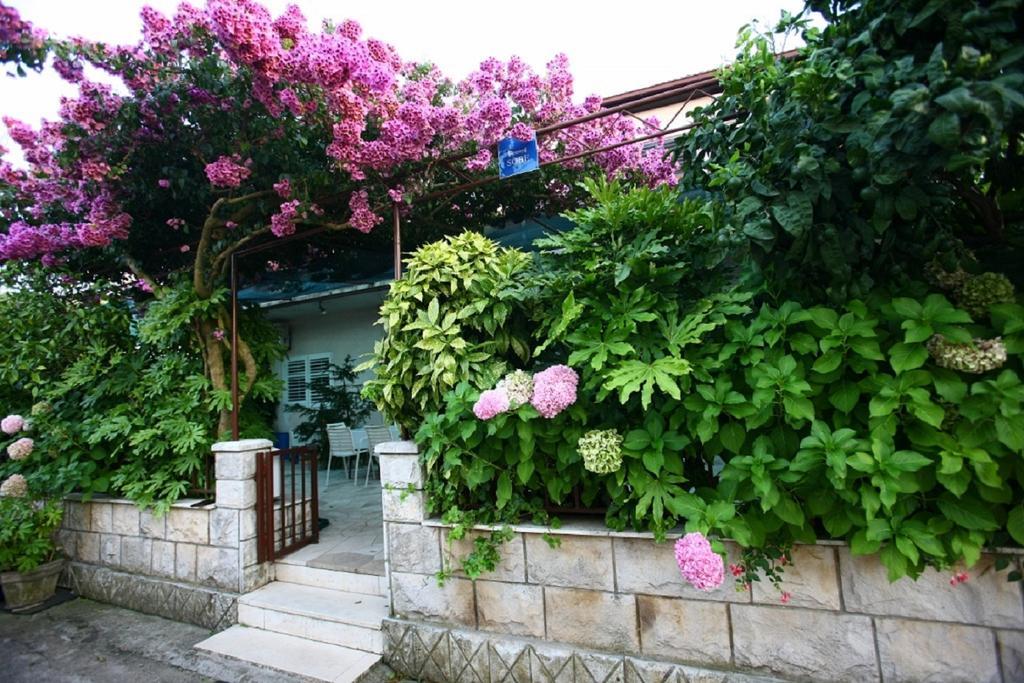 Apartments Indira 로비스테 객실 사진